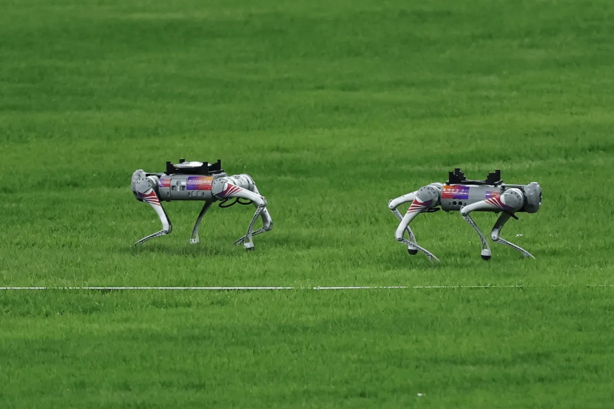 Two metallic quadruped robots moving across a stadium lawn