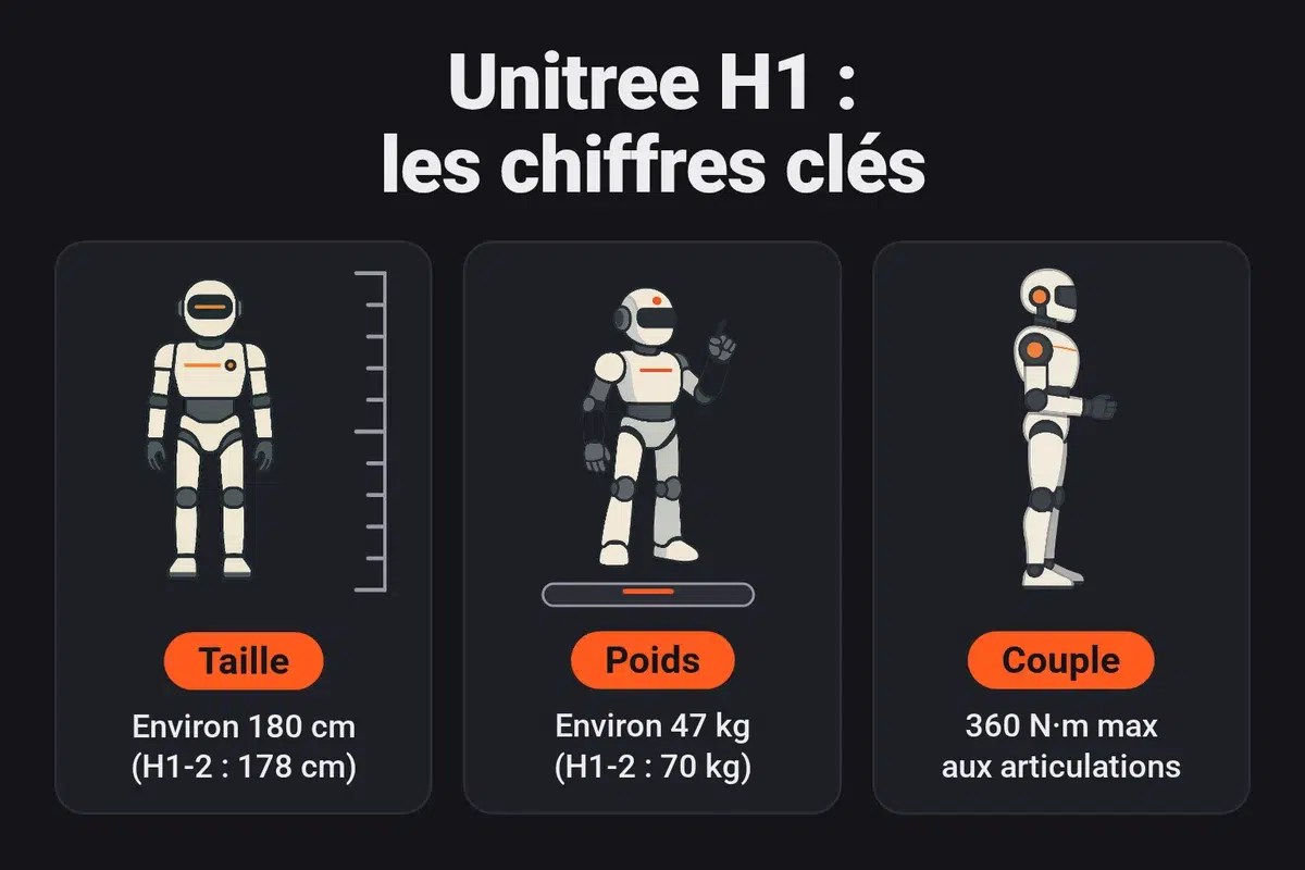 Infographie : le Unitree H1 mesure environ 180 cm (H1-2 : 178 cm), pèse environ 47 kg (H1-2 : 70 kg) et atteint un couple maximal de 360 N·m aux articulations