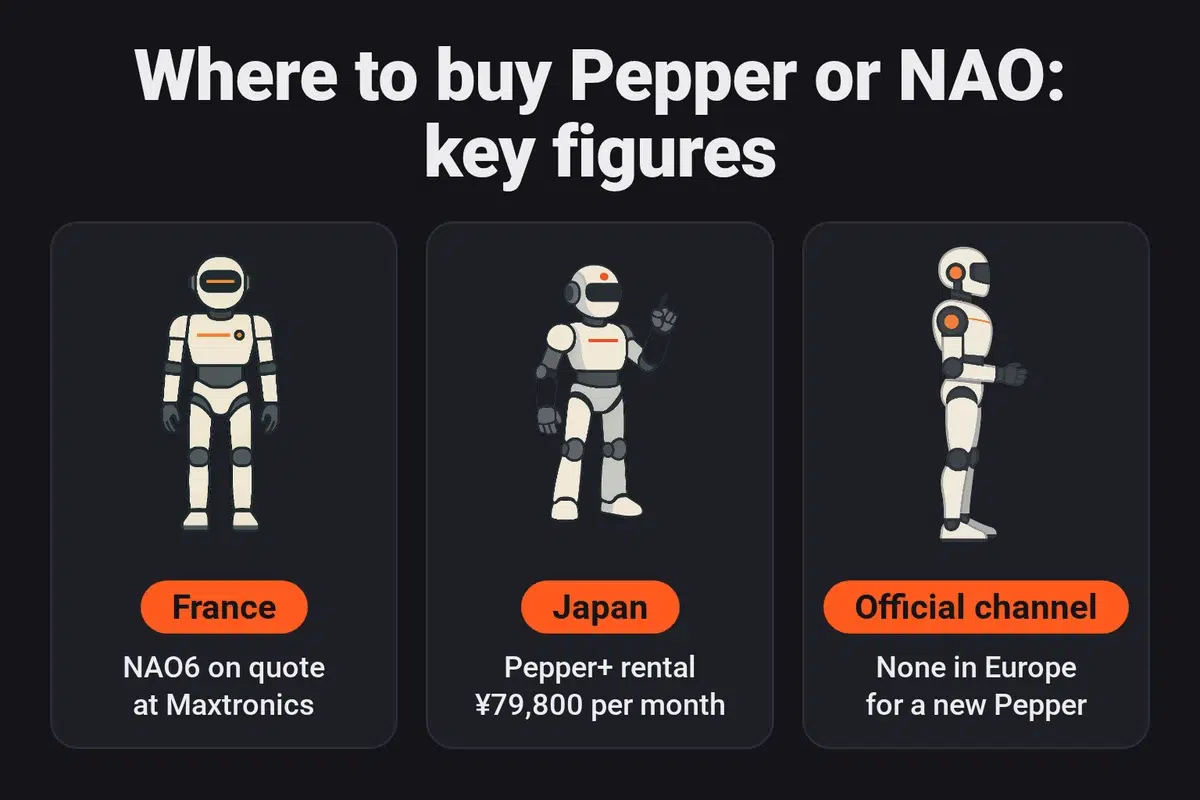 Where to buy Pepper or NAO: NAO6 on quote from Maxtronics in France, Pepper+ for rent in Japan at ¥79,800 per month, and no official European channel for a new Pepper.